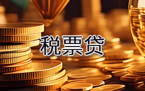阳江税票贷